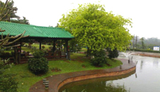 侯臣咖啡文化村（西線高速公